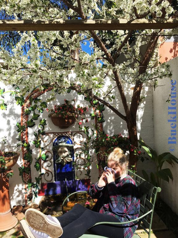 היידלברג Buckhouse Elegant Village Apartment מראה חיצוני תמונה